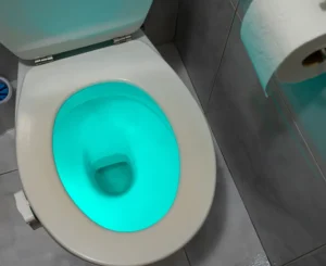 lighted toilet seat, Jeremy Electrical Roeland Park