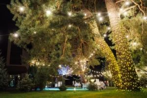 lights strung on trees in Kansas City backyard, Jeremy Electrical