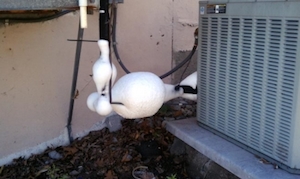 Air Conditioner Frozen Picture