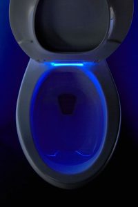 Toilet Nightlight Photo