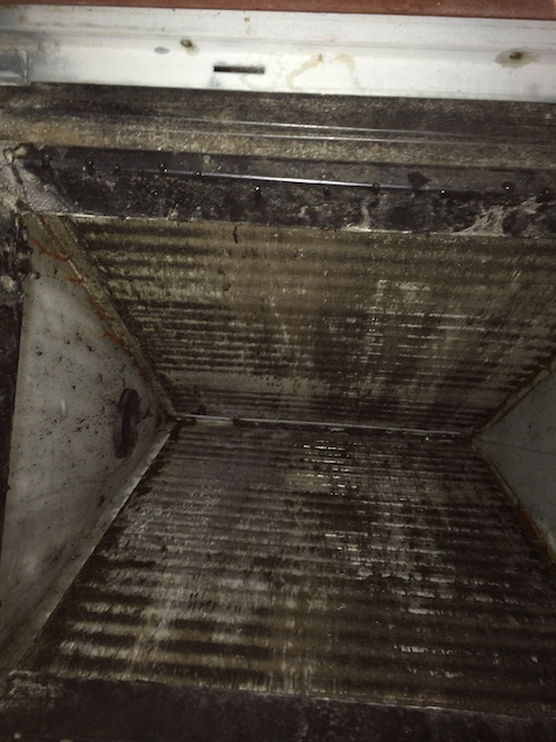 Mold on an Air Conditioning Coil